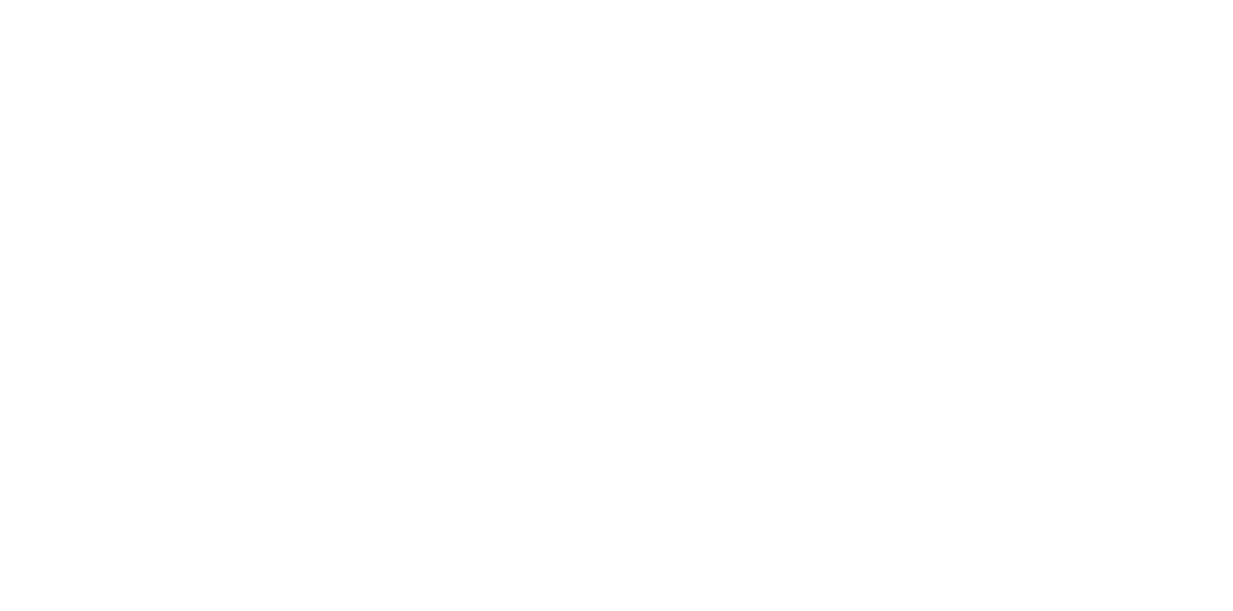 Riello